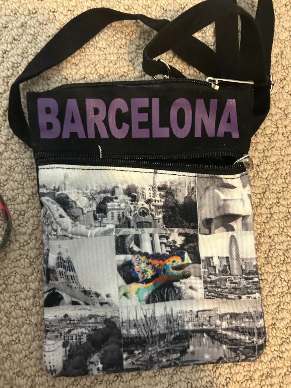 Robin Ruth Barcelona Printed Crossbody Bag